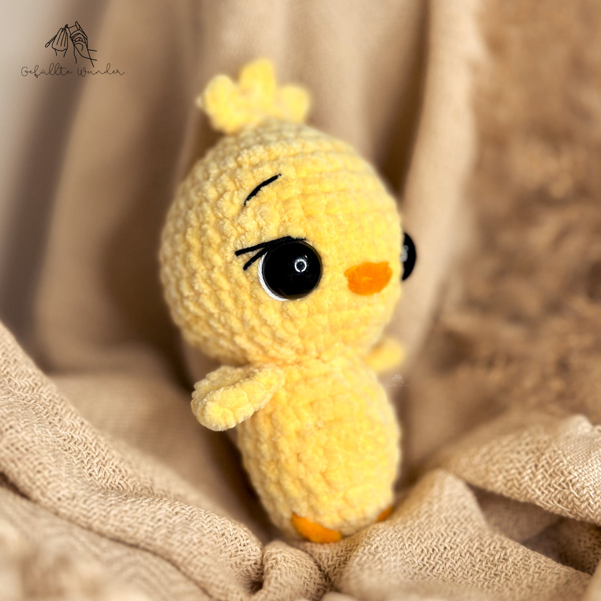 Kiscsibe „Dottie“